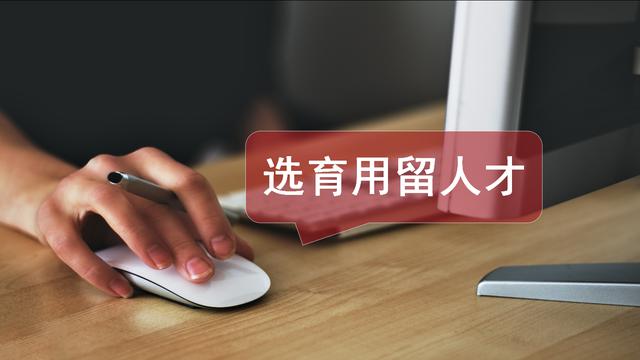 导入人力资源管理思维，5步规划、4步甄选人才