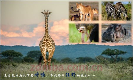 狂野与旖旎：​2014肯尼亚·蒙巴萨动物迁徙之旅