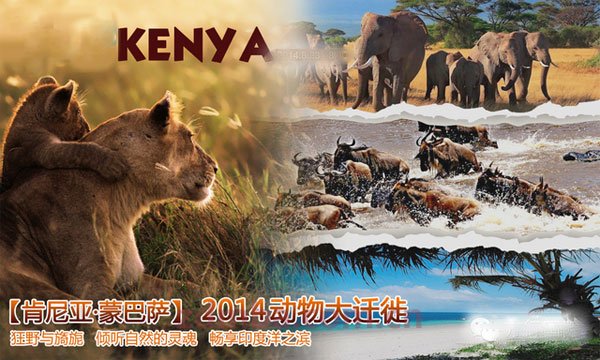 狂野与旖旎：​2014肯尼亚·蒙巴萨动物迁徙之旅