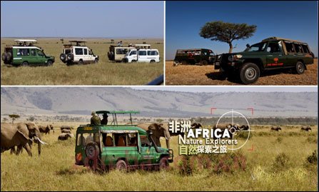 狂野与旖旎：​2014肯尼亚·蒙巴萨动物迁徙之旅