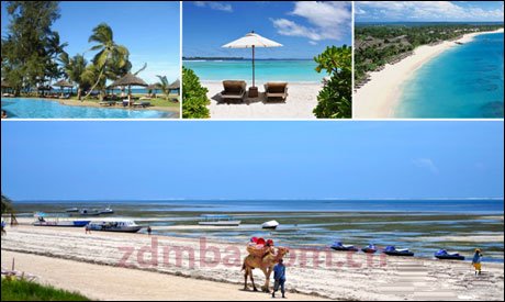 《狂野与旖旎》​2014肯尼亚动物大迁徙