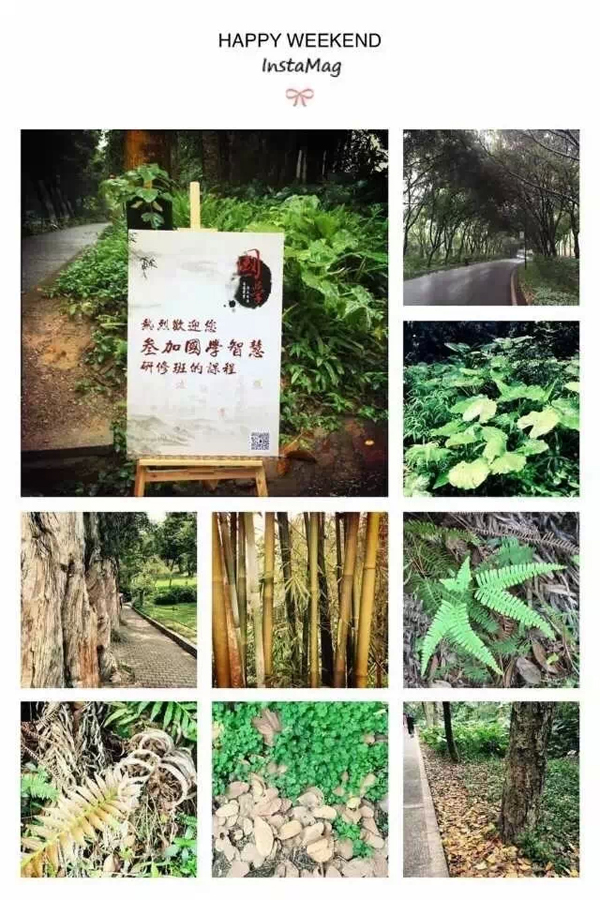 林乾老师《曾国藩的管理方略》课程回顾