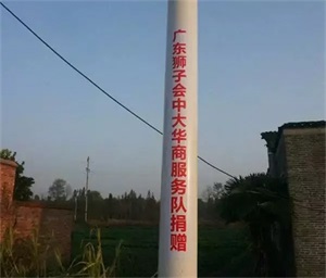 江西抚州临川区秋溪乡梓溪“狮爱之光，照亮乡村”亮灯仪式圆满结束