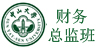 财务总监十班