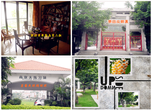中山大学国学班 “天•地•茶•道”茶话会