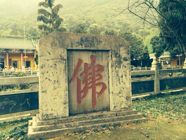 中山大学时代华商教育中心总裁三十四班韶关云门寺禅修感恩之旅